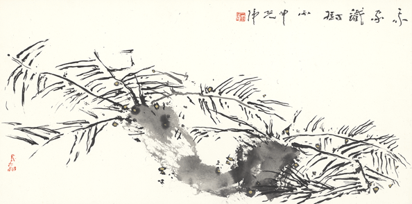 我家铁树-34×68cm-2016.gif